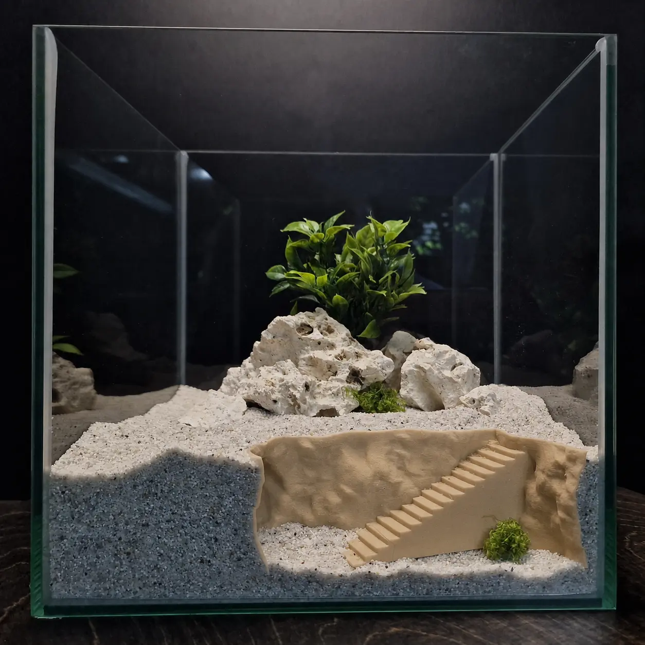 CoralDune aquarium décor