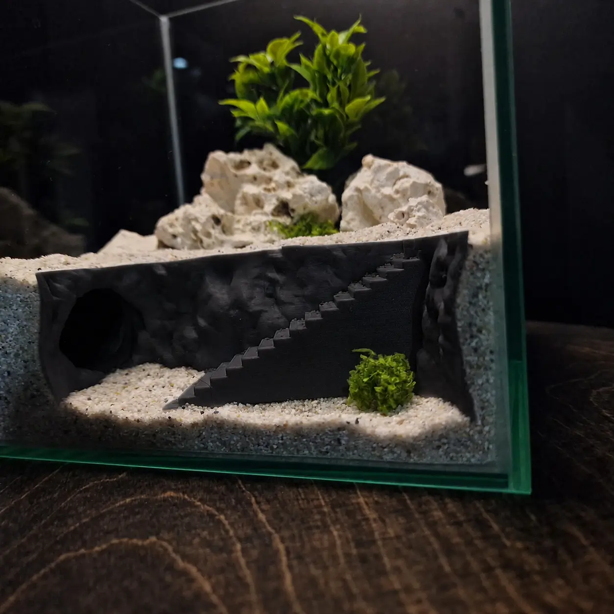 CoralDune aquarium décor product photo 4