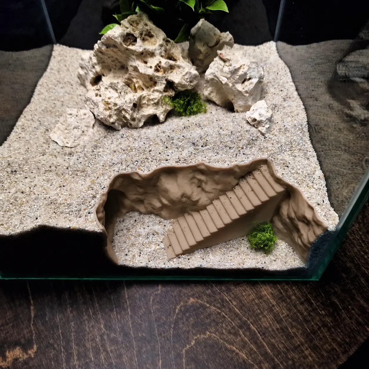 CoralDune aquarium décor product photo 6