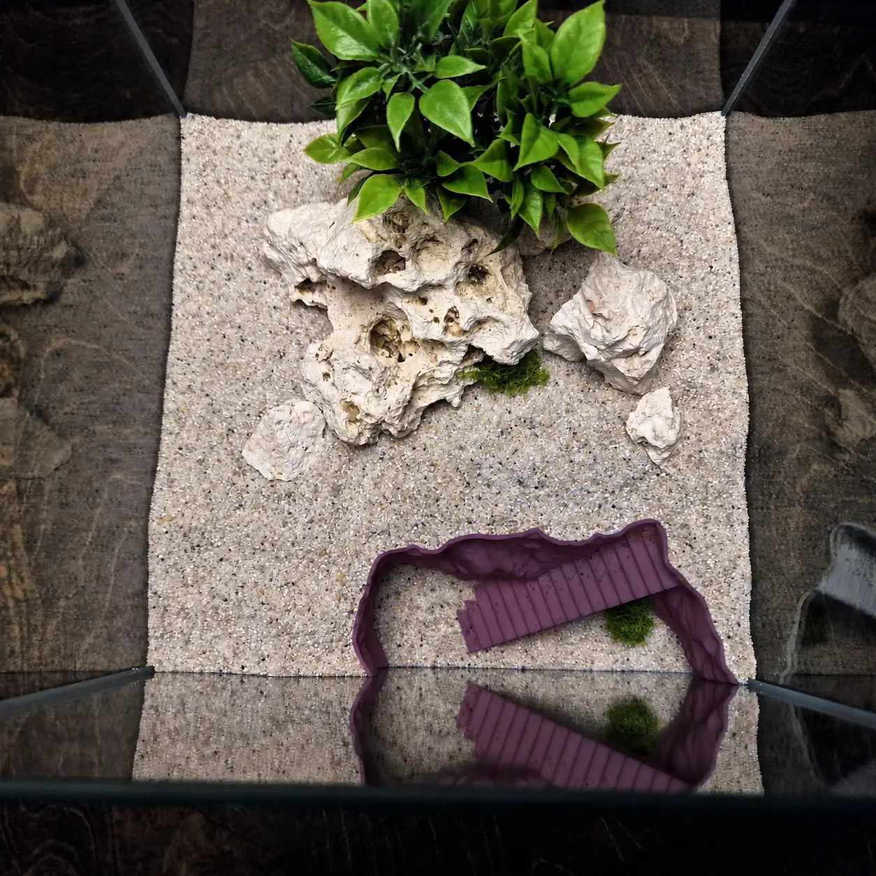 CoralDune aquarium décor product photo 7